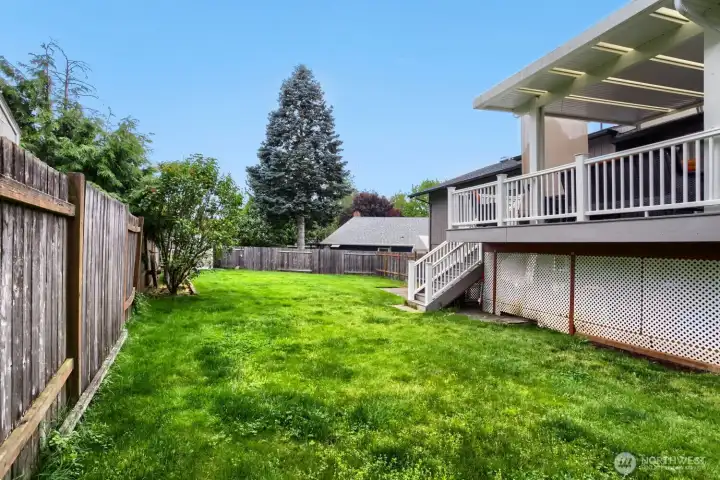 Backyard