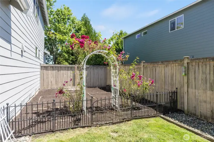 Side yard number two, great for a garden or a dog run!