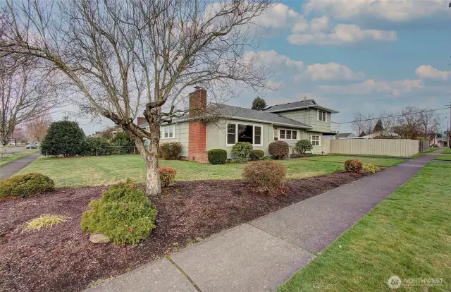 side yard