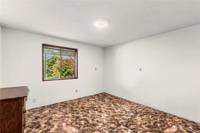 lower level 2nd bedroom