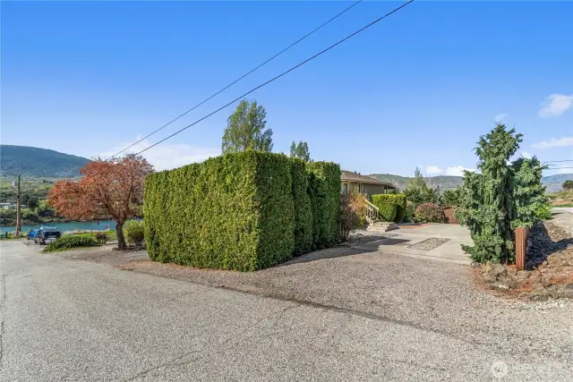 Upper-level parking with arborvitae for privacy