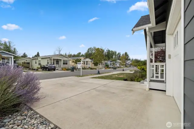 Looking toward the cul-de-sac across the driveway.