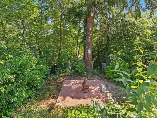 Tranquil forested patio space to gather and entertain or relax in nature. At night, the string lights that canopy over the space are quite spectacular.