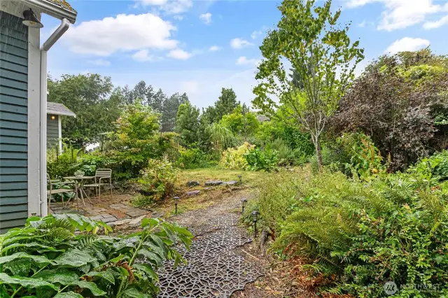 Lush front yard