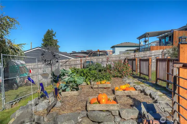 Raised beds, great sunshine, lots of love.