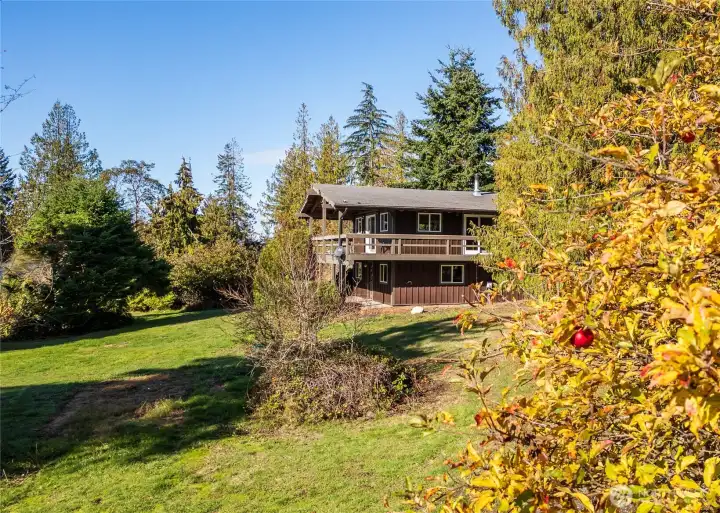 Garden and yard space with fruit trees