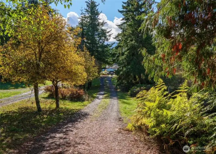 Private driveway to home