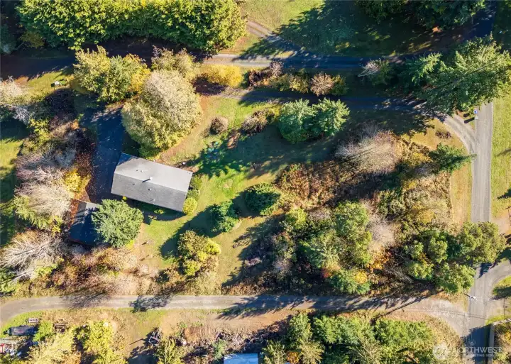 Yard for pets, chickens, gardening