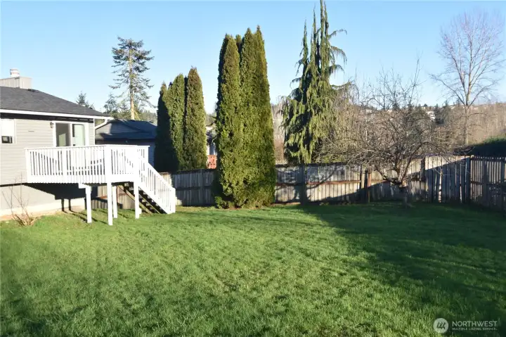 Backyard