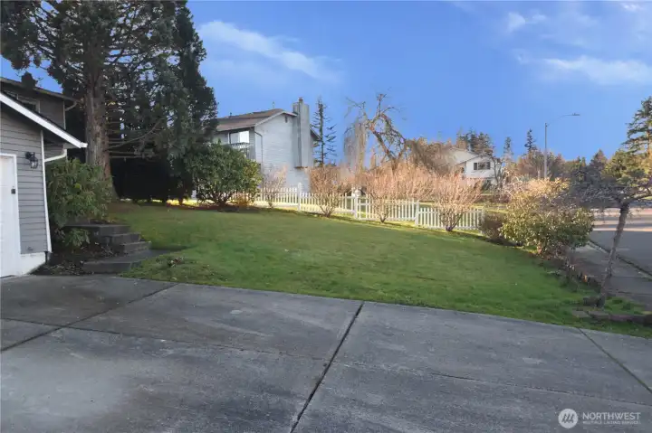 Front yard
