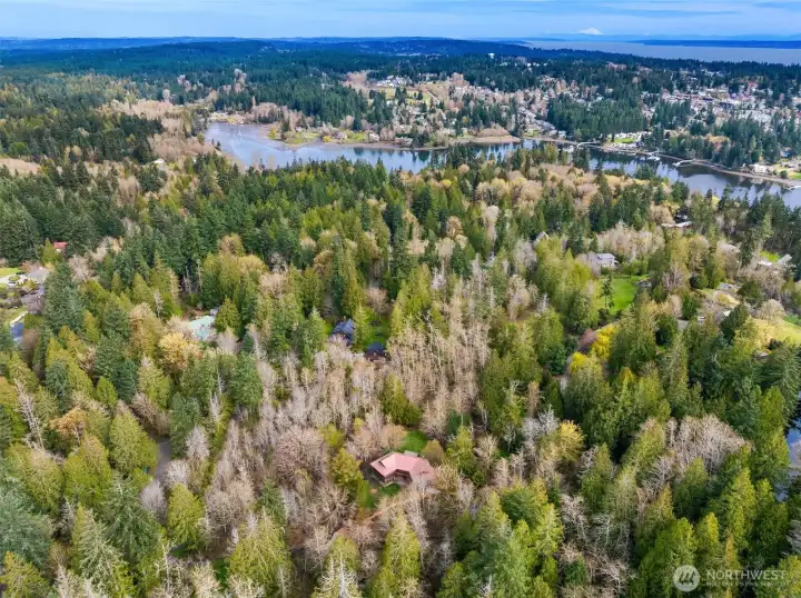 View from above looking northeast over Eagle Harbor with Puget Sound and Mt Baker in the distance.