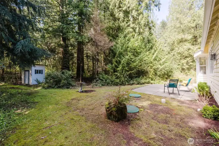 Back yard and access to trails