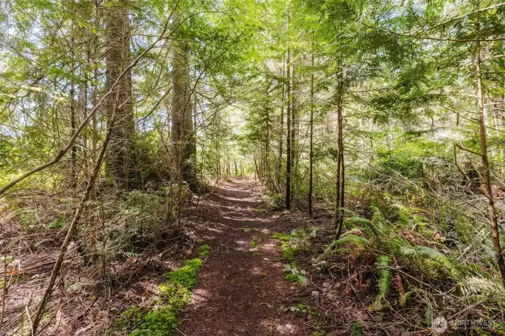 Established walking trails on your own 5 acre lot!
