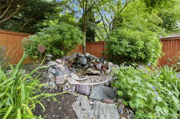 Tranquil pond