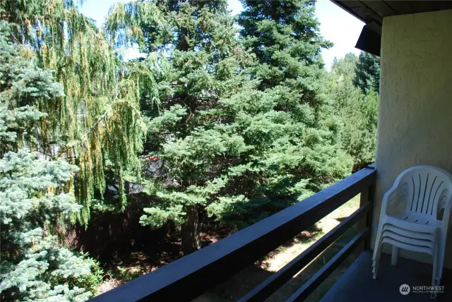 View from Living Room Balcony.