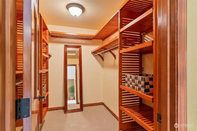 Generous Walk-In Closet