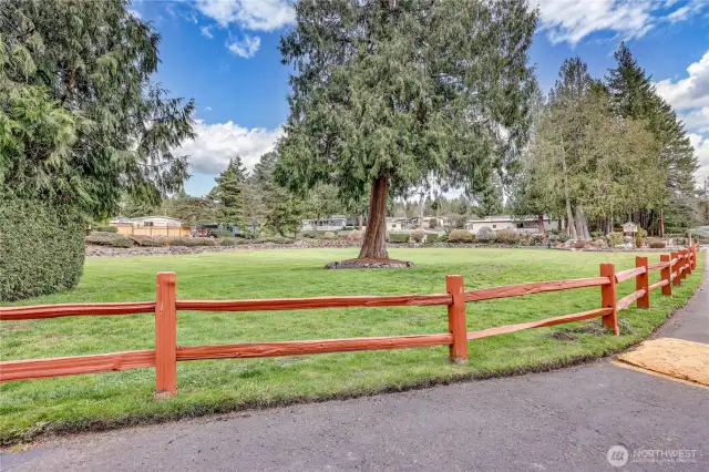 Cedar Glen is one of the best kept 55+ parks in Poulsbo!