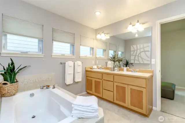 Master Bathroom view 2