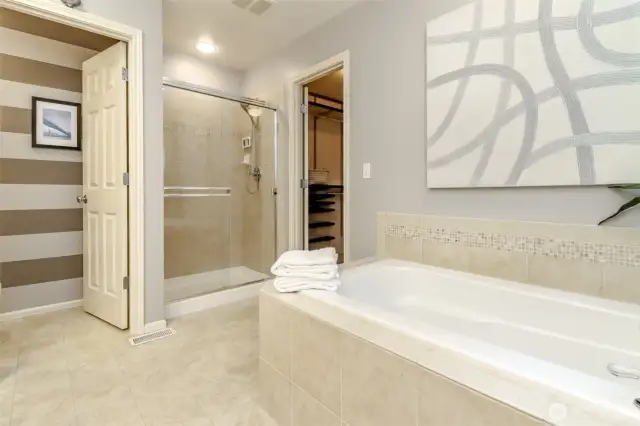 Master Bathroom View 3