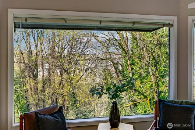 Looking out over lush greenery; winter views of the water. Summer views of beautiful trees.