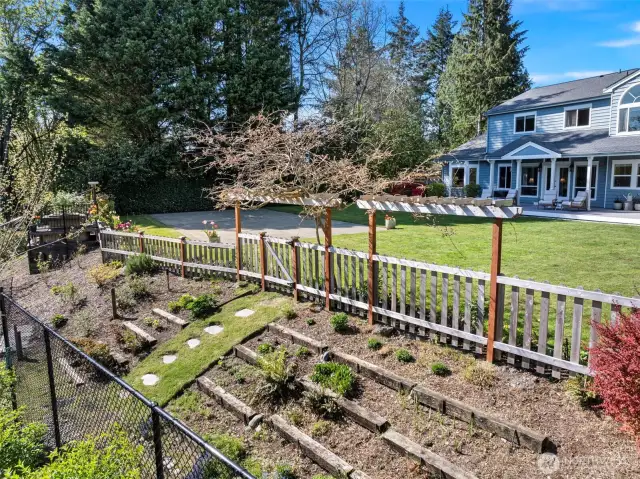 Terraced planting beds and deer fencing
