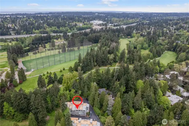 Fir trees between you and the golf course