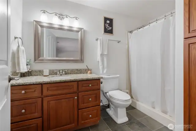 lower level bathroom