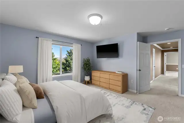 2nd bedroom with walk-in closet