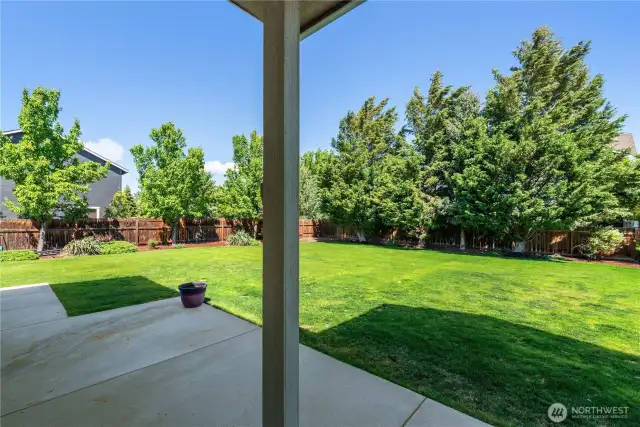 Back patio for outdoor entertaining