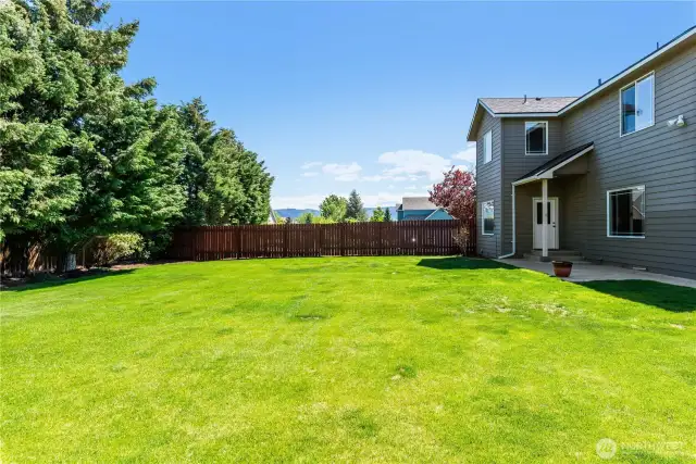 Spacious yard with room to play facing south.