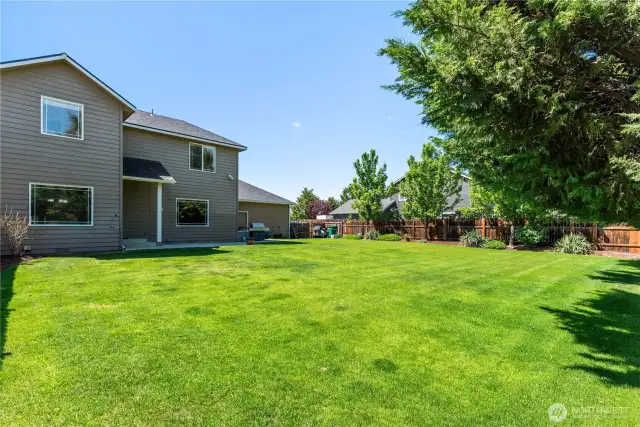 Private backyard with side entrance from driveway, door from garage