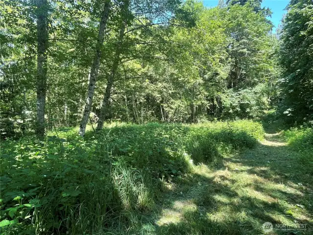 View from near SE North along easement near East property line