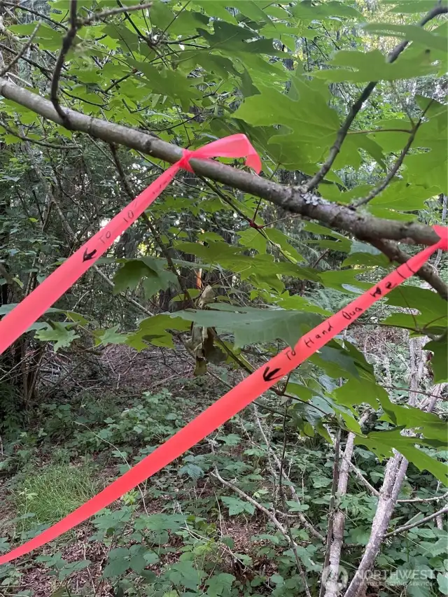 Flagging tape is labeled for each well head
