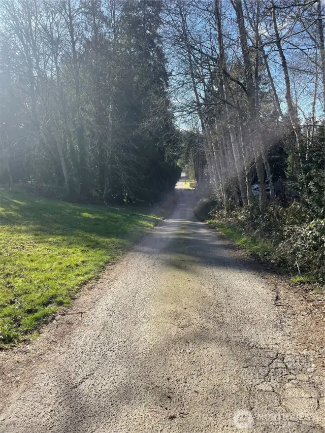 View West down Sipes lane from near SE corner of lot