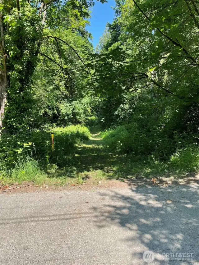 View from across Sipes Lane facing North along easement approximately on Eastern lot line