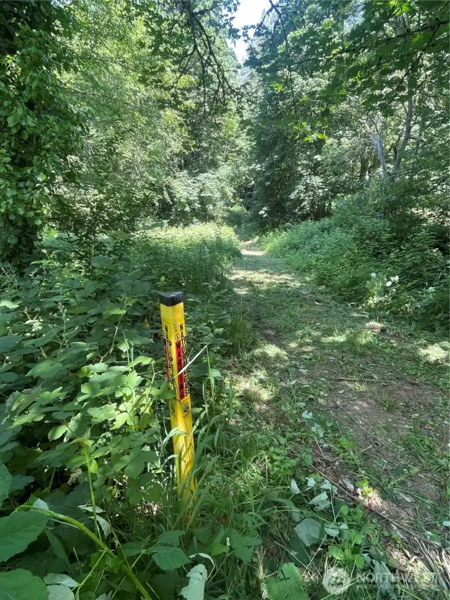 Gas line easement market near SE corner facing North along utility easement