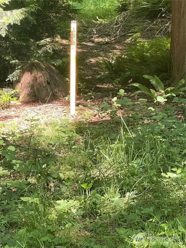 Gas line easement market near NE Corner of lot