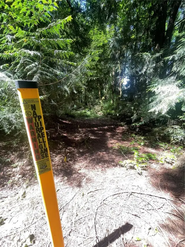 View of approximate NE corner facing North along approximate North Property line.