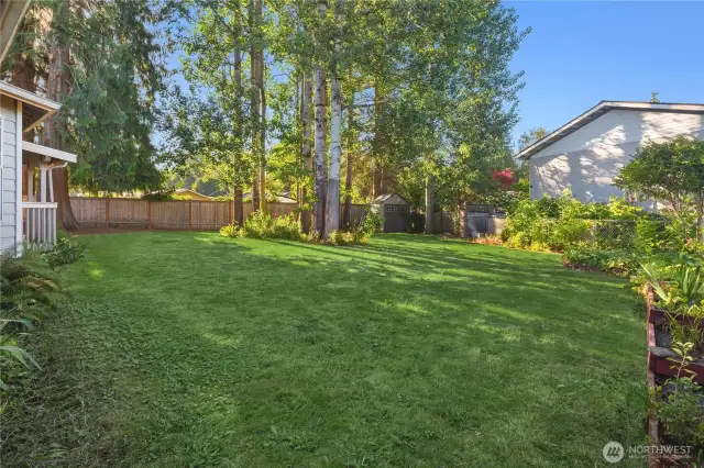 Park-like backyard with grove of trees