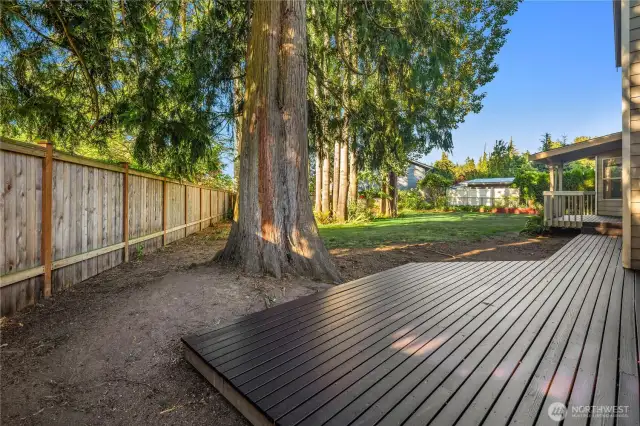 Spacious deck