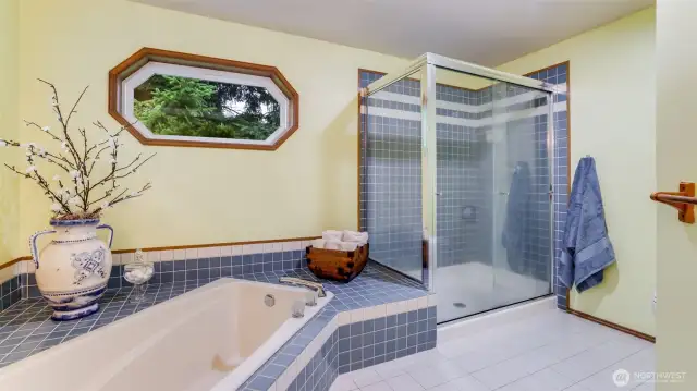 The bath is large and open with many wonderful possibilities.