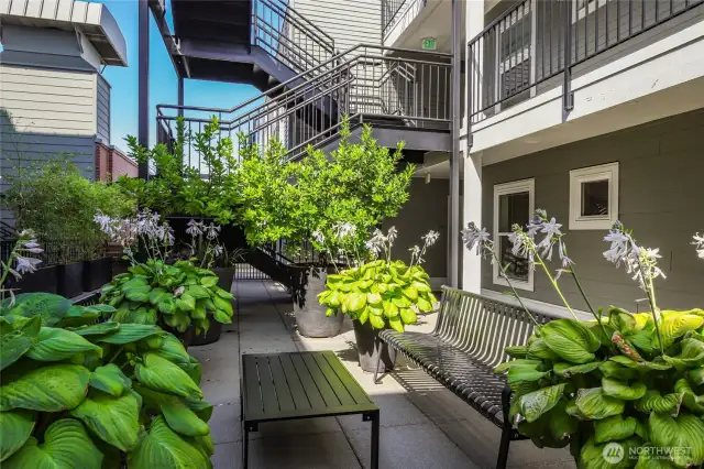 Beautiful courtyard extends your entertaining space