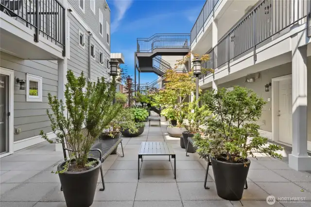 Soothing greenery in the tranquil courtyard