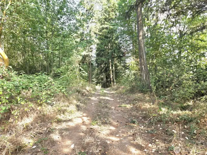 at the top of the road, I believe this driveway goes down to the bottom.