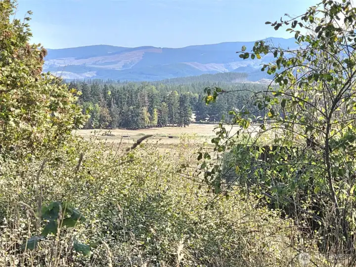 view from the top of the road