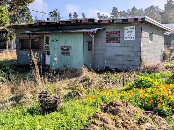 A diamond in the rough