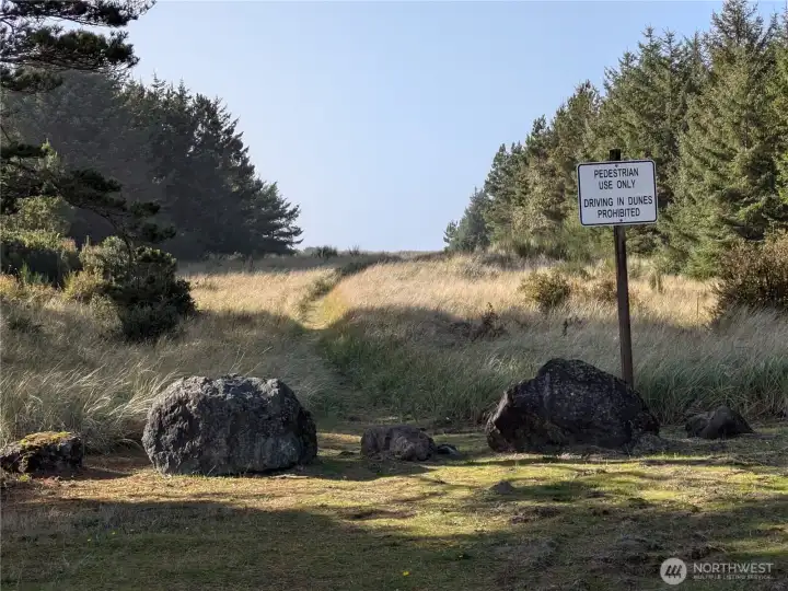 Dune trail head at the end of the road