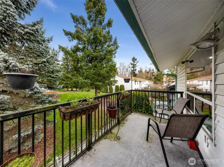 Peaceful view from the deck