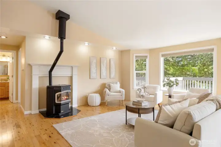 Pellet stove to keep you warm in the winter