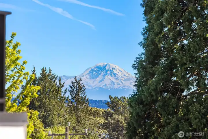 Mt Rainier from the roofdeck. Mt Rainier from the roofdeck.